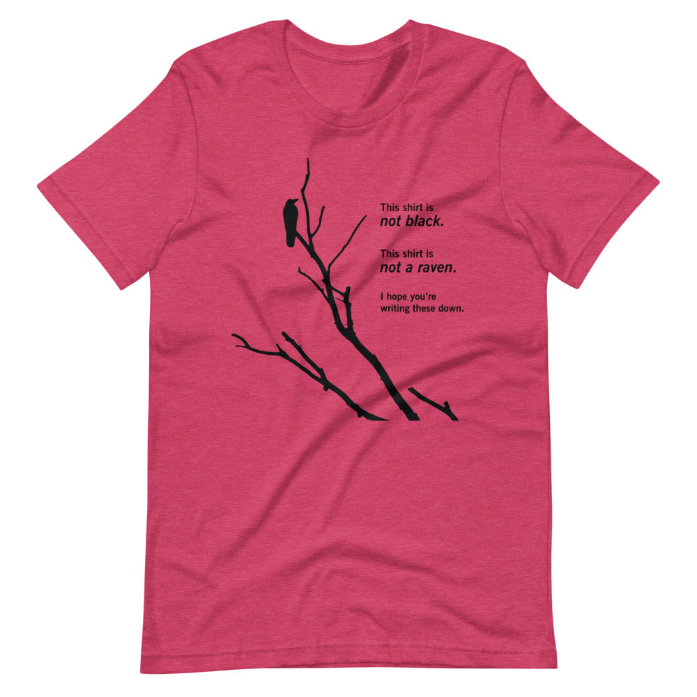 Paradox of the Ravens: Philosophy of Science T-Shirt